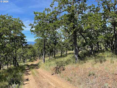 Columbia Hills LN, Goldendale, WA 98620