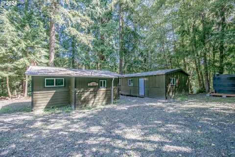 96455 BLOCKS SHADY LN, Lakeside, OR 97449