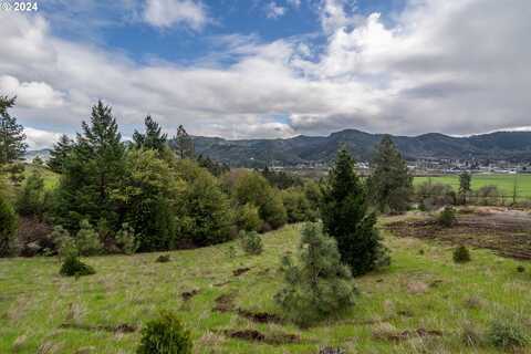 1955 WEAVER RD, Myrtle Creek, OR 97457