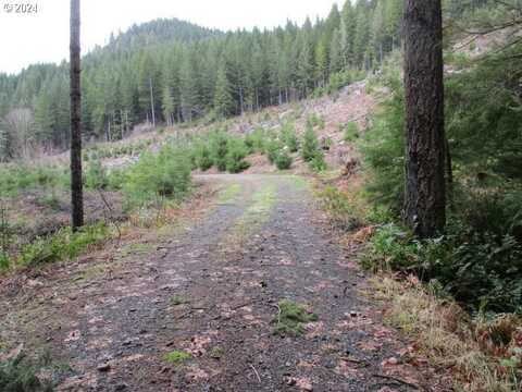 000 Quartzville RD, Sweet Home, OR 97386