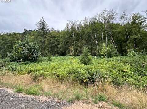 1 N Dubois RD, Ariel, WA 98603