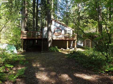 Cabin 88 Northwoods, Cougar, WA 98616