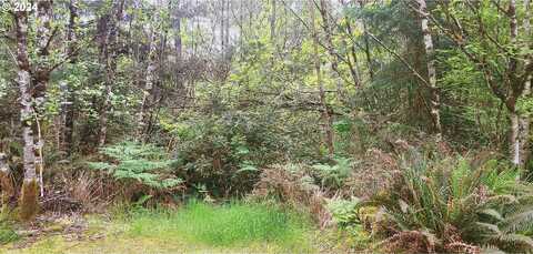 75012006021 P ST, Ocean Park, WA 98640