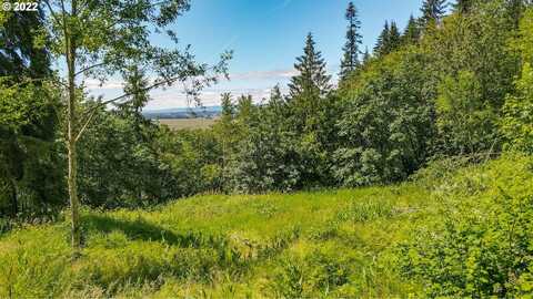 0 Columbia View DR, Woodland, WA 98674