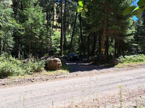 59831 RIVER CANYON RD, Imnaha, OR 97842