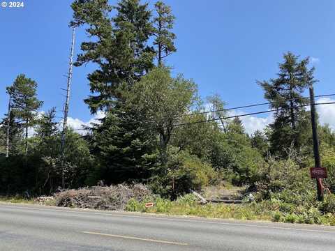 0 Vernon Ave, Ocean Park, WA 98640