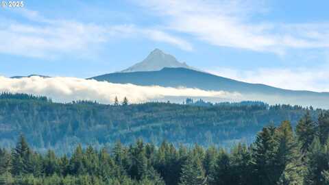 NE 48th WAY, Camas, WA 98607