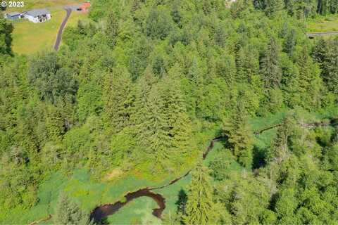 0 NE Elliott RD, Yacolt, WA 98675