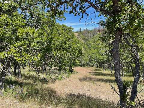 COLUMBIA HILLS LN, Goldendale, WA 98620