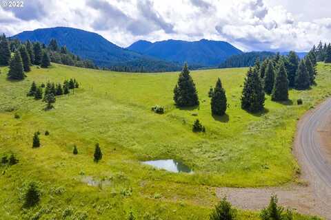 0 Bugle LOOP, Oakridge, OR 97463