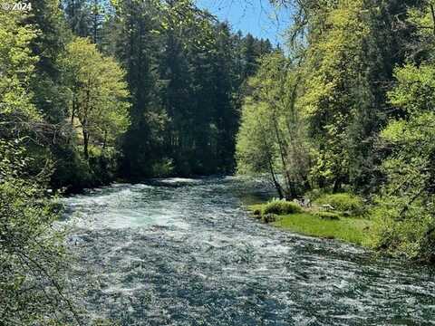 Horse Creek RD, McKenzie Bridge, OR 97413