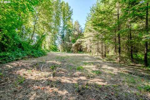 Matheny (Lot 2) RD, Gervais, OR 97026