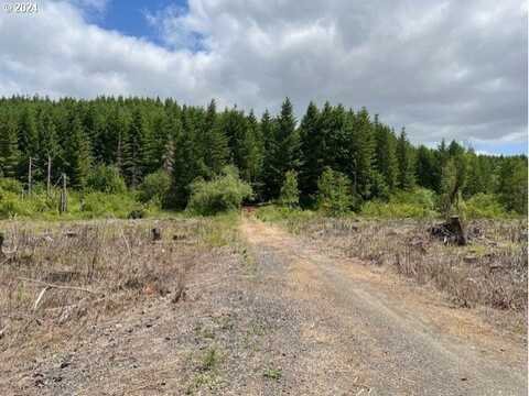 Airport Rd, Vernonia, OR 97064