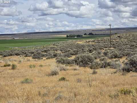 Chinook, Christmas Valley, OR 97641