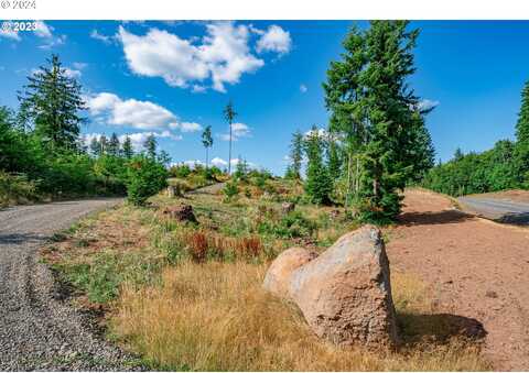 0 S Silver Lake RD, Castle Rock, WA 98611