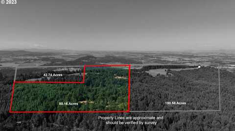 23900 TERRITORIAL Parcel 2 HWY, Monroe, OR 97456