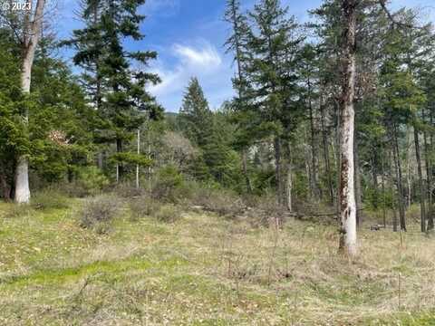 Bear Spring RD, White Salmon, WA 98672