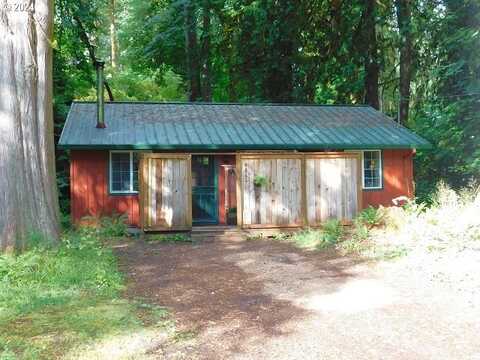 9864 BEACH DR, Birkenfeld, OR 97016