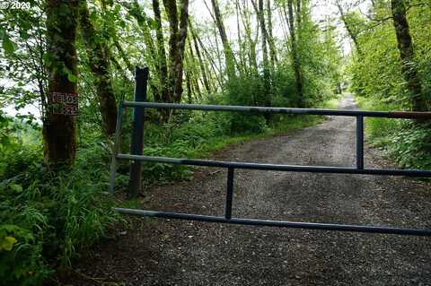 0 NE Buncombe RD, Woodland, WA 98674