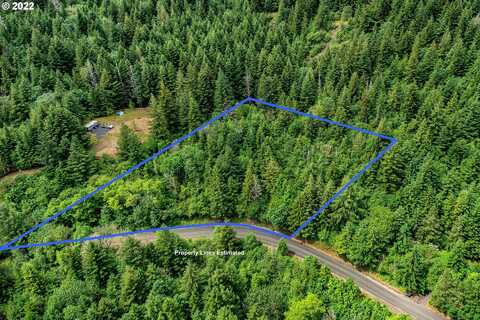 ARCHER MOUNTAIN RD, Skamania, WA 98648