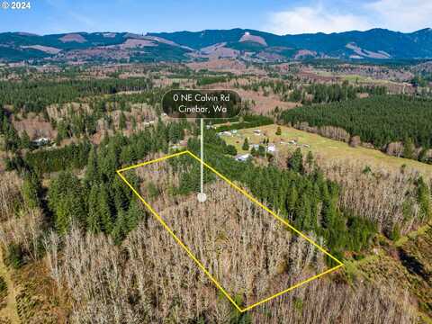 CALVIN RD, Onalaska, WA 98570