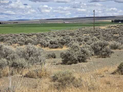 Shelly, Christmas Valley, OR 97641