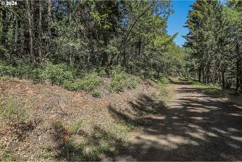 Lyons RD, White Salmon, WA 98672