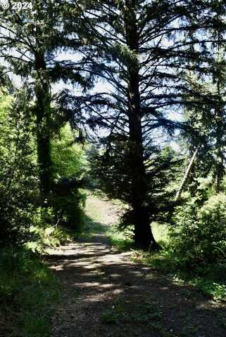 Hwy 101, Gold Beach, OR 97444