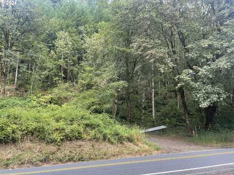 23255 E ALSEA HWY, Tidewater, OR 97390