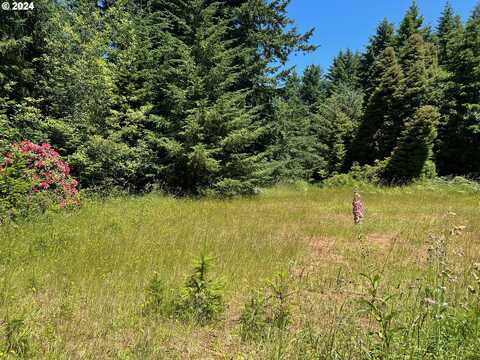 20452 WHALESHEAD RD, Brookings, OR 97415