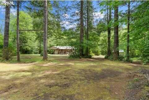 119 ELK LN, Ariel, WA 98603