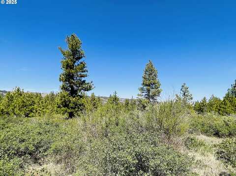 Jensen Quarry RD, Bickleton, WA 99322