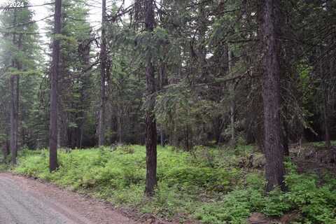 Cold Spring Loop, Weston, OR 97886