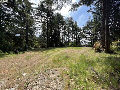 0 Hensley Hill RD, Port Orford, OR 97465