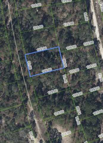 213 Sun Flower Drive, Lake Placid, FL 33852