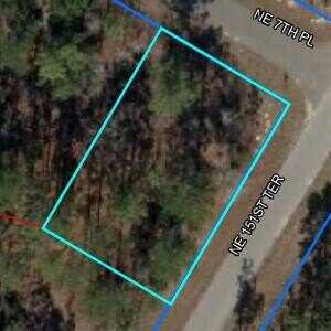 Lot1 Blk87 NE 7th Pl Place NE, Williston, FL 32696