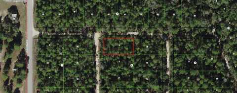 316 Wren Avenue, Inverness, FL 34452