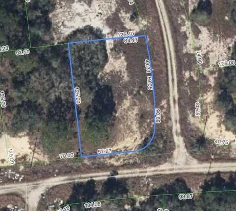 300 Summertime Avenue, Lake Placid, FL 33852