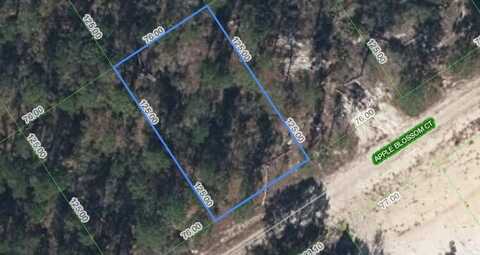 440 Apple Blossom Court, Lake Placid, FL 33852
