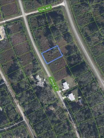 1027 Oriole Street, Lake Placid, FL 33852