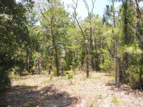 Vacant Land, Williston, FL 32696