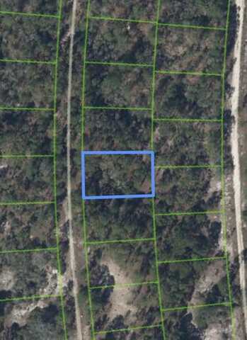 211 Sunflower Drive, Lake Placid, FL 33852