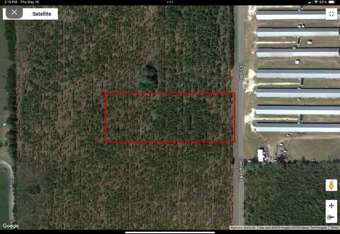 Lot 4 193 Road, Live Oak, FL 32060