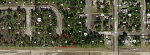 1005 W Riley Drive, Citrus Springs, FL 34434