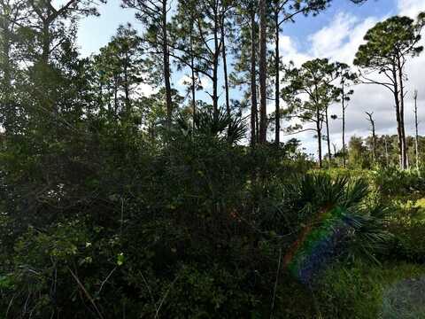 0 Tree Top Trail, Fort Pierce, FL 34951