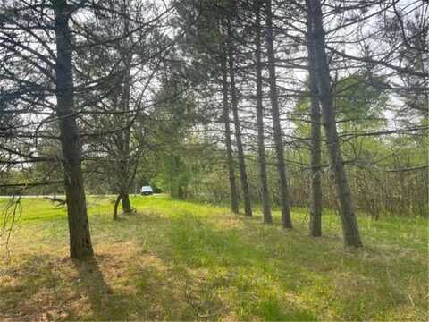 11581 State Highway 1, Cook, MN 55723