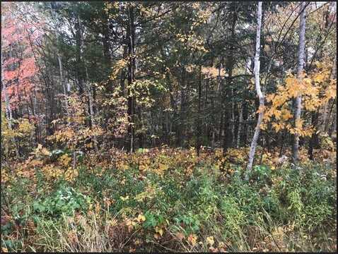 Lot 113 162nd Avenue, Apple River Twp, WI 54810