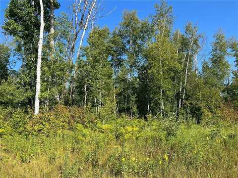 Tbd 15 Acre County 55 Road, Remer, MN 56672