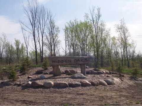 Xxxlot 4 Ingot Trail, Lonsdale, MN 55046