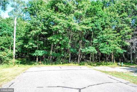Xxx Ninebark Drive, Baxter, MN 56425